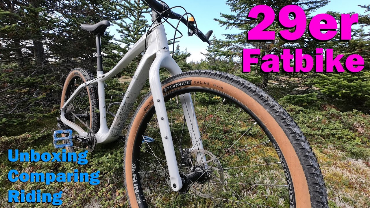 Fatbike with 29er Wheelset: 29er Fatbike