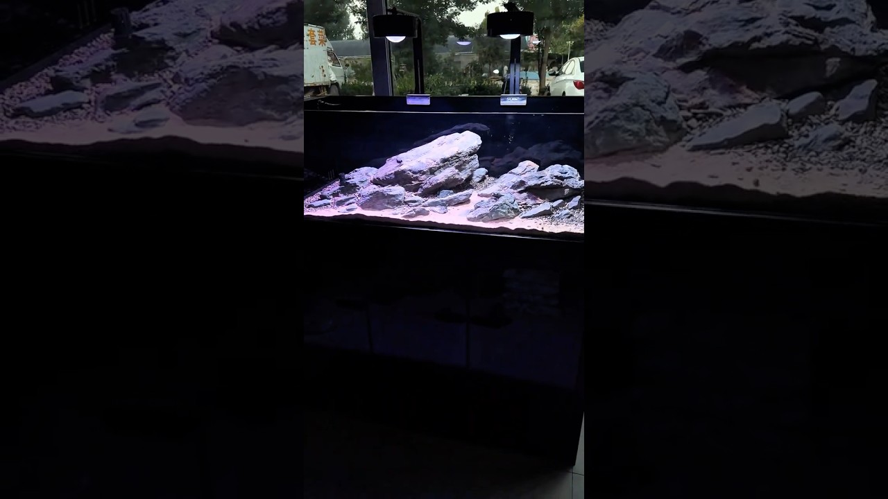DIY Natural Stream Biome, Stream Biotope Masterclass From Wild to Aquarium, aquarium youtube channel