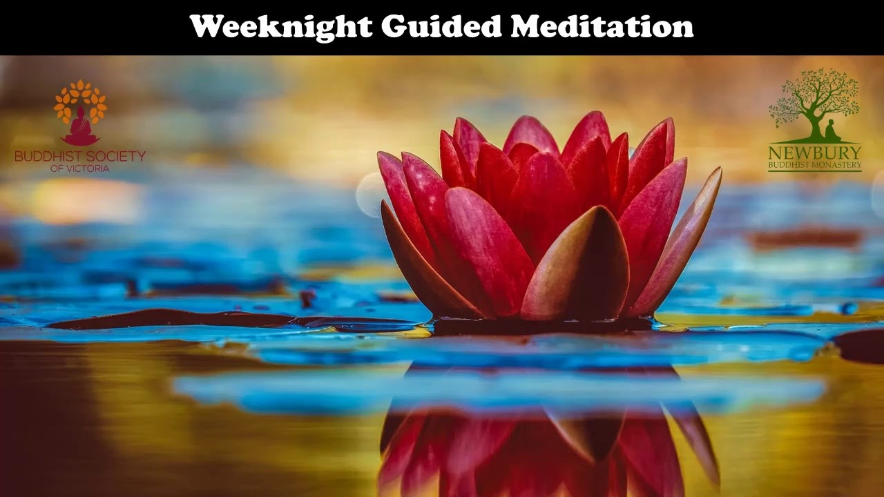 Guided Meditation (from NBM) | Bhante Aranavihari | 27 Apr 2020