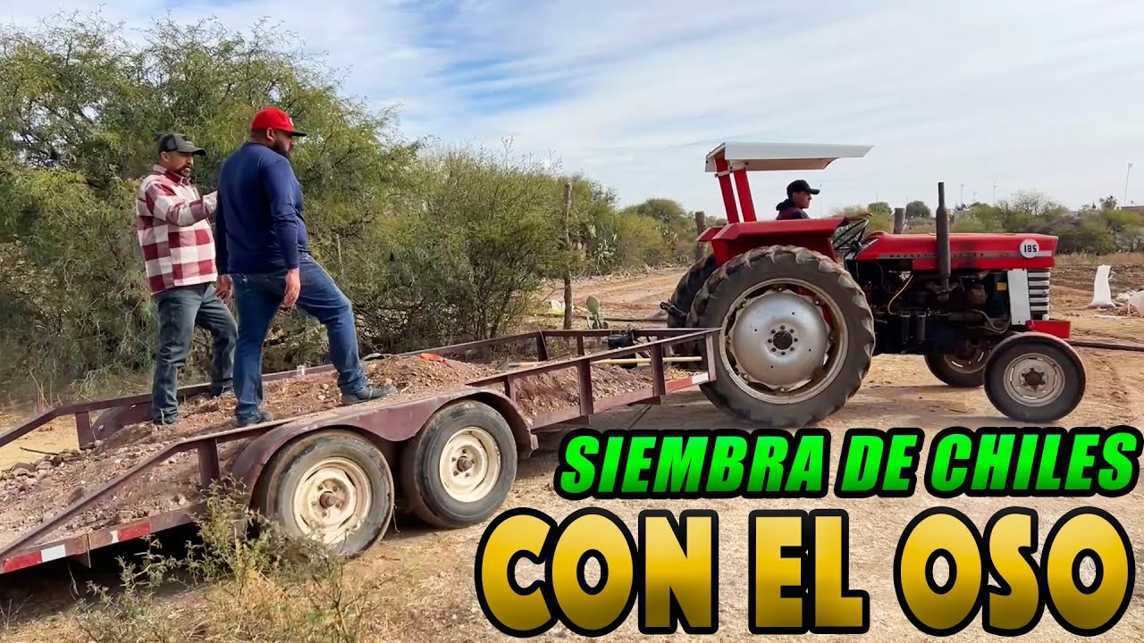 ARRANCAMOS EL CICLO AGRICOLA 2023 en Zacatecas