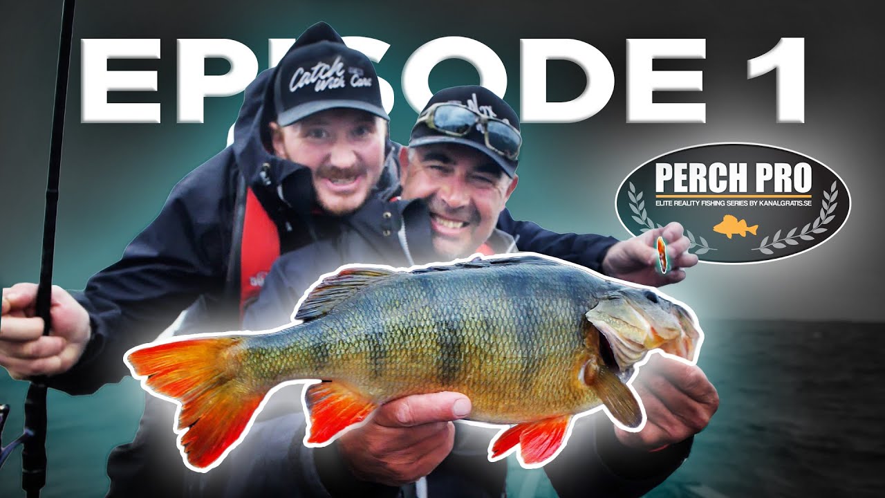 PERCH PRO 8 - Эпизод 1 (русские субтитры)