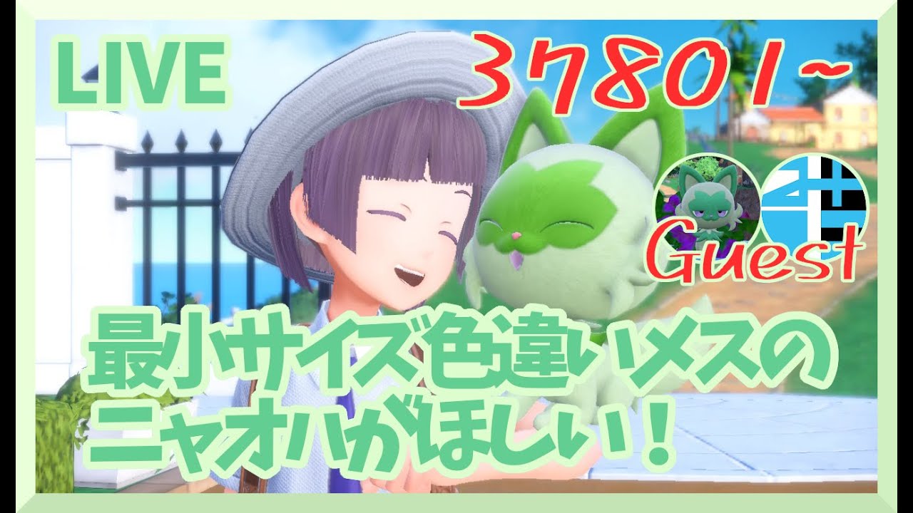 【色違い出た】【273日目】ドリボニャオハ孵化色違い耐久【色最小メス厳選】～38285匹目まで【ポケモンSV】