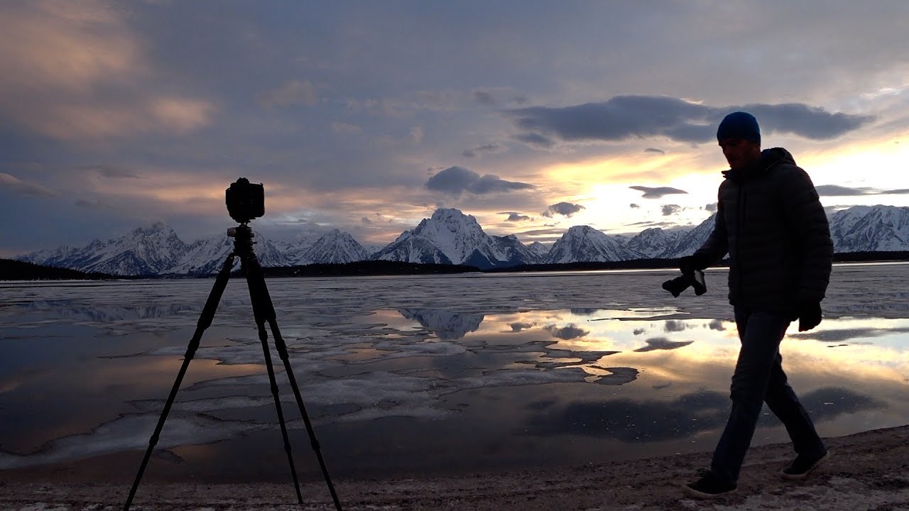 A Day of Landscape, Grizzly Bear, and Wolf Photography in Wyoming