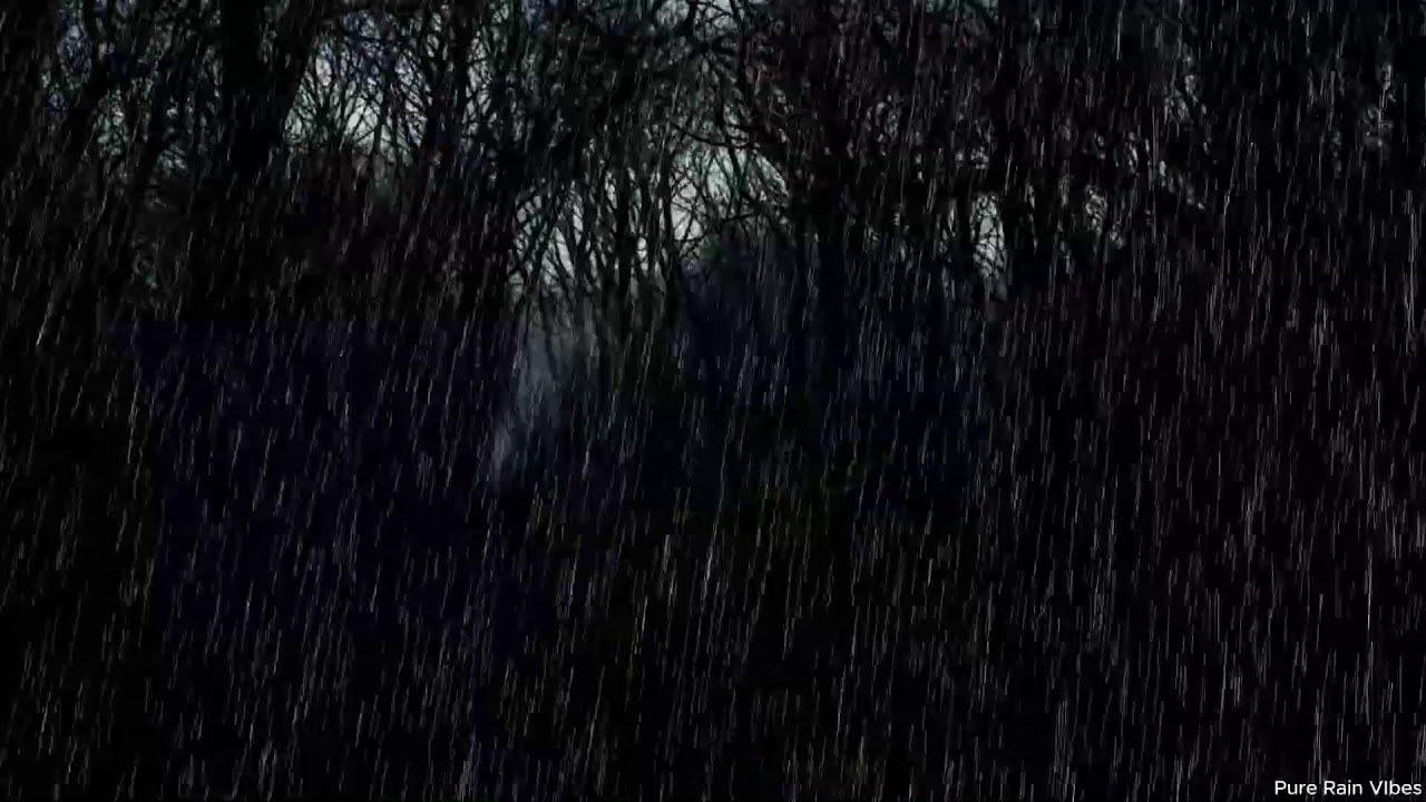 Thunder and Heavy Rain for Deep Sleep | 10 Hours Black Screen