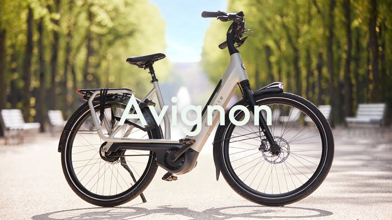 Gazelle Avignon | Comfortable e-bike | Royal Dutch Gazelle