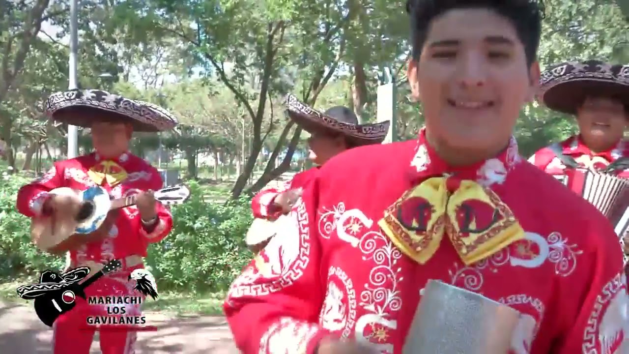 Mix de cumbias Los Gavilanes