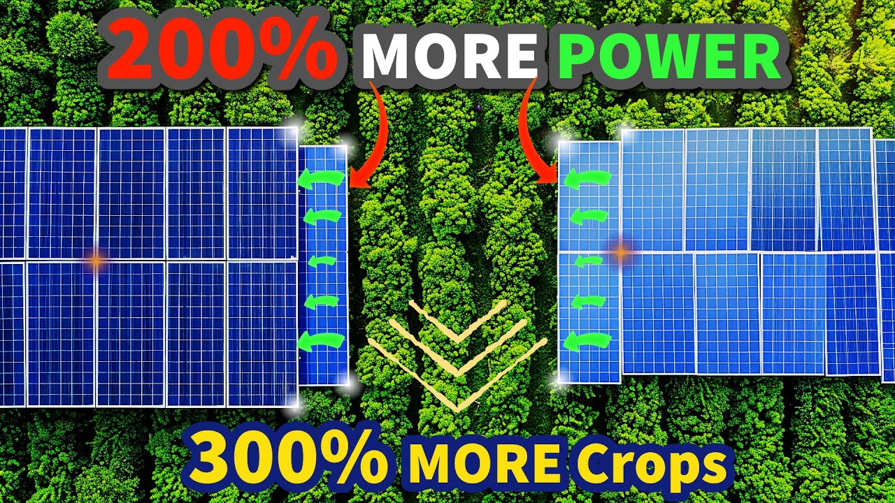 Невероятные преимущества агровольтаики 2025: солнечные панели на фермах