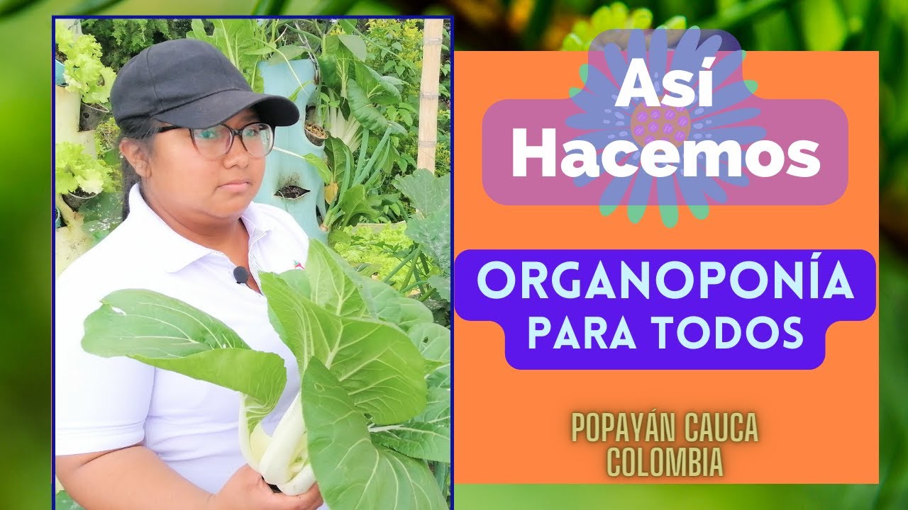 Así Hacemos Organoponía Exitosa