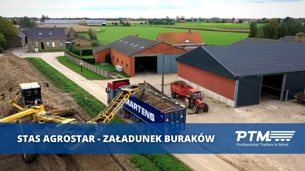 Transport buraków cukrowych wywrotkami STAS
