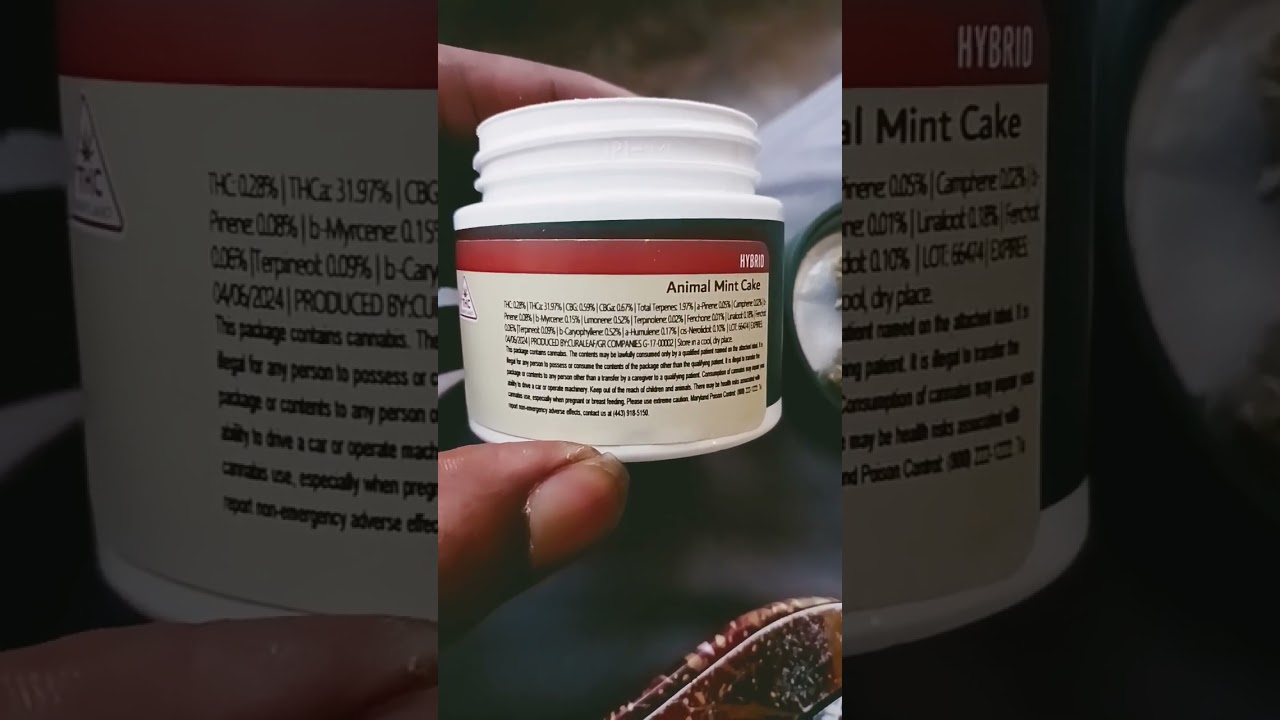 Animal Mint Cake Strain by Grassroots