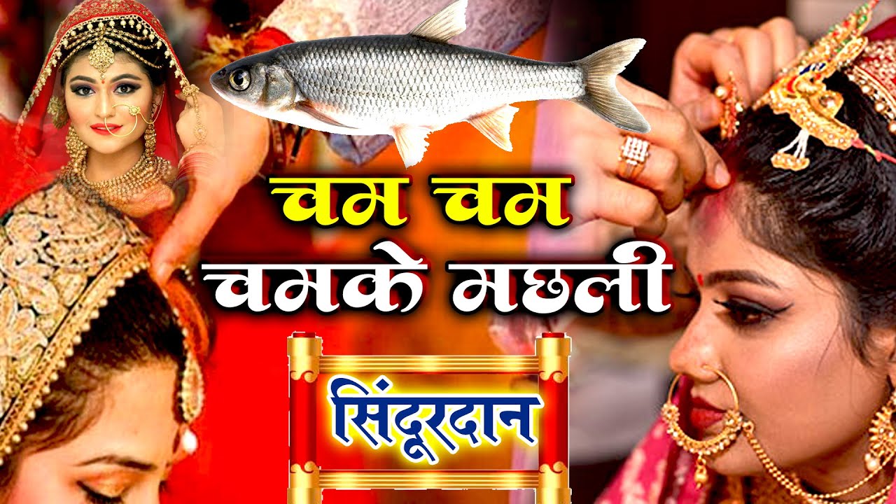 सिंदूरदान विवाह गीत || चम-चम चमके हो मछली जल के भितरिया || Anshu Priya Shadi Vivah Geet || Sindurdan