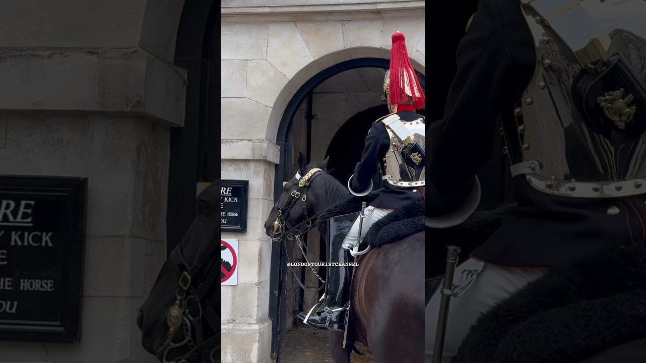 GOOD HORSEMANSHIP