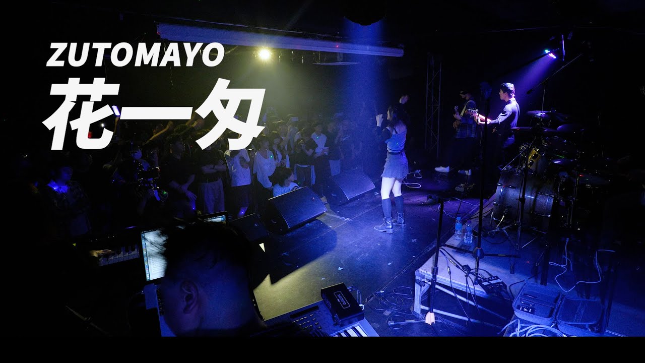 【Live cover】 .anomaly 「ZUTOMAYO - 花一匁(Hanaichi monnme)」 | 주문하신 밴드 나왔습니다_20240504