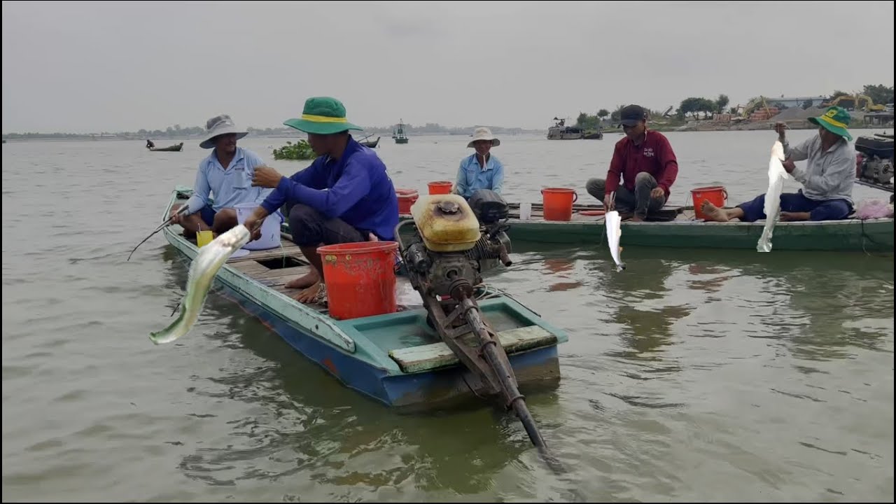 Điểm câu nhiều sóng gió mà cá ăn dính quá trời luôn - Sông Nước Cửu Long - Nguyễn Hùng