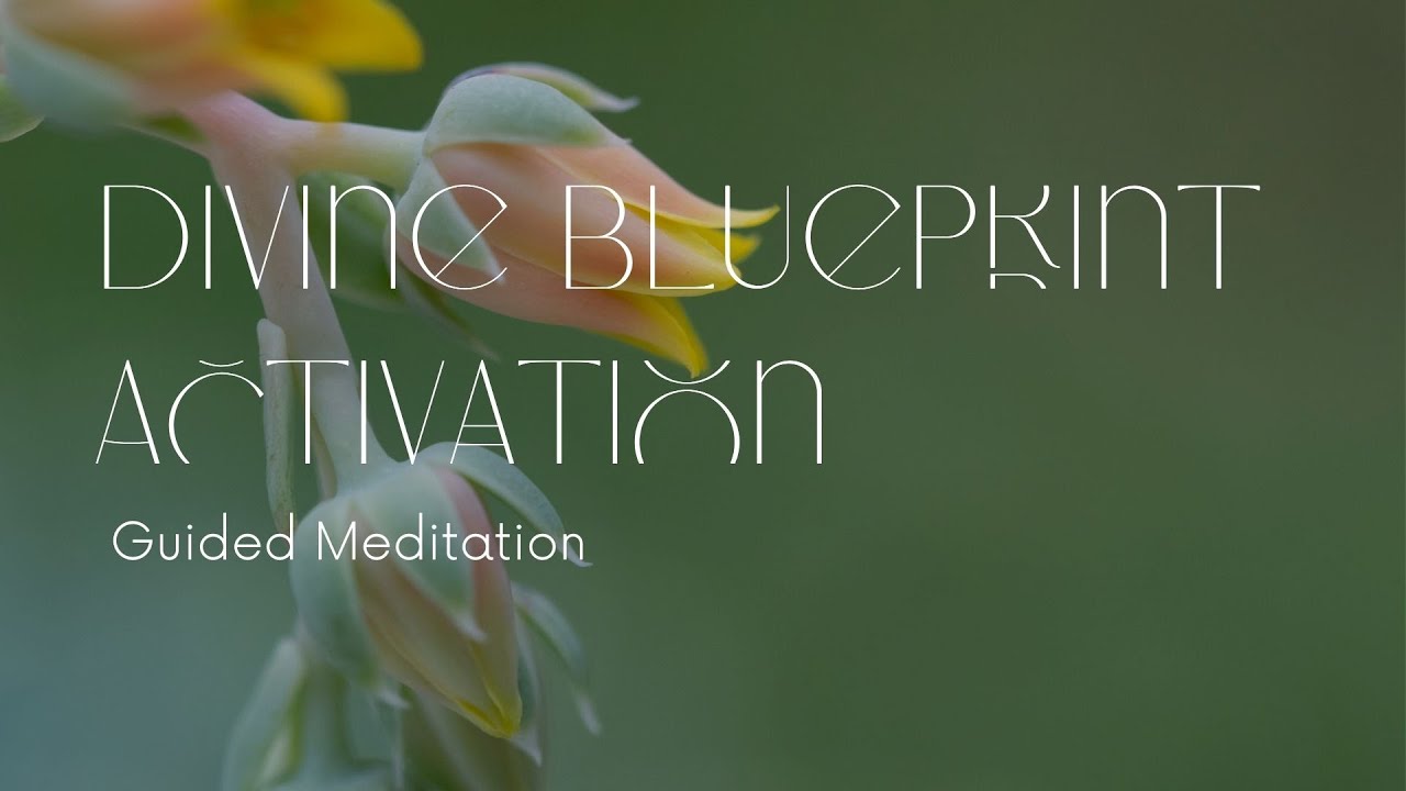 Divine Blueprint Activation | Guided Meditation