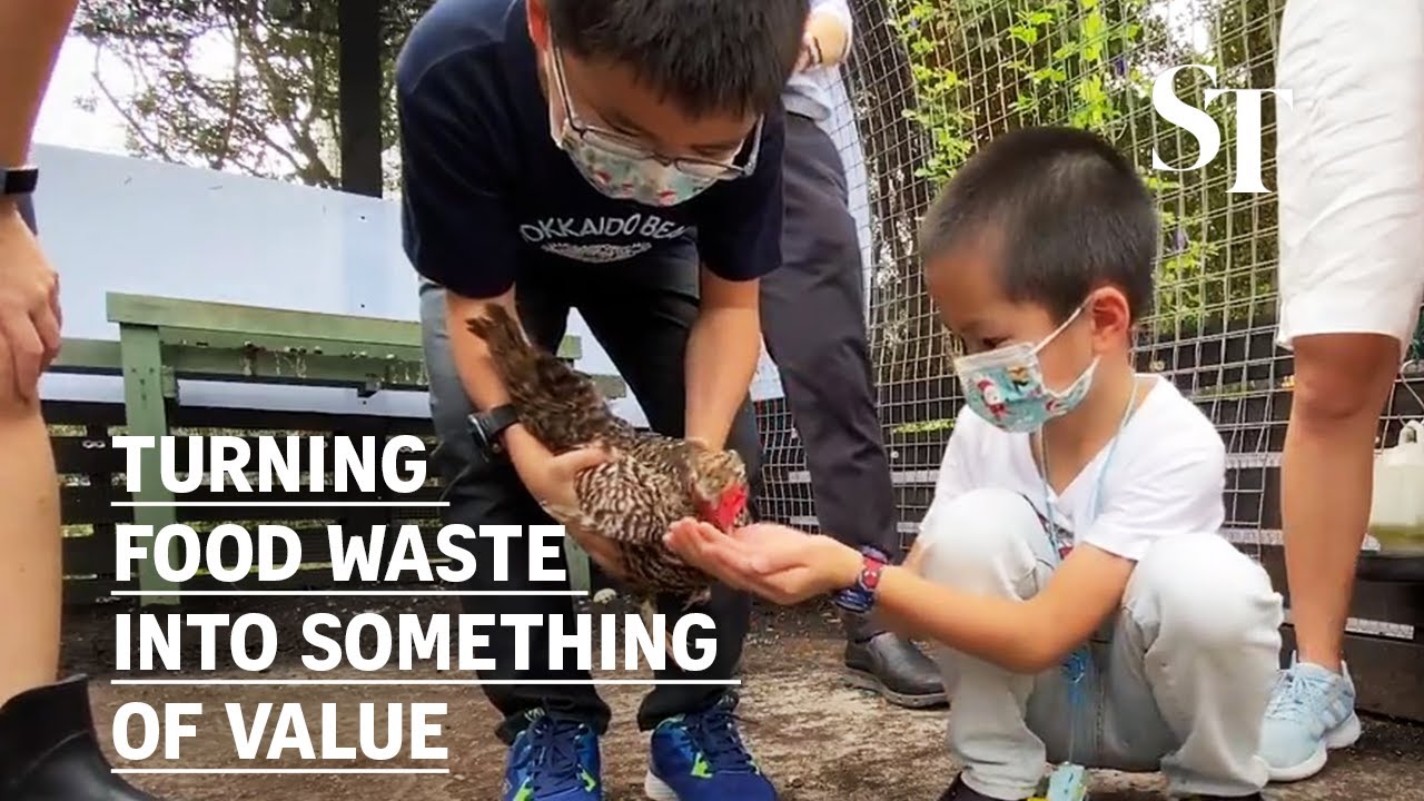 Turning food waste into something of value | Live more, waste less