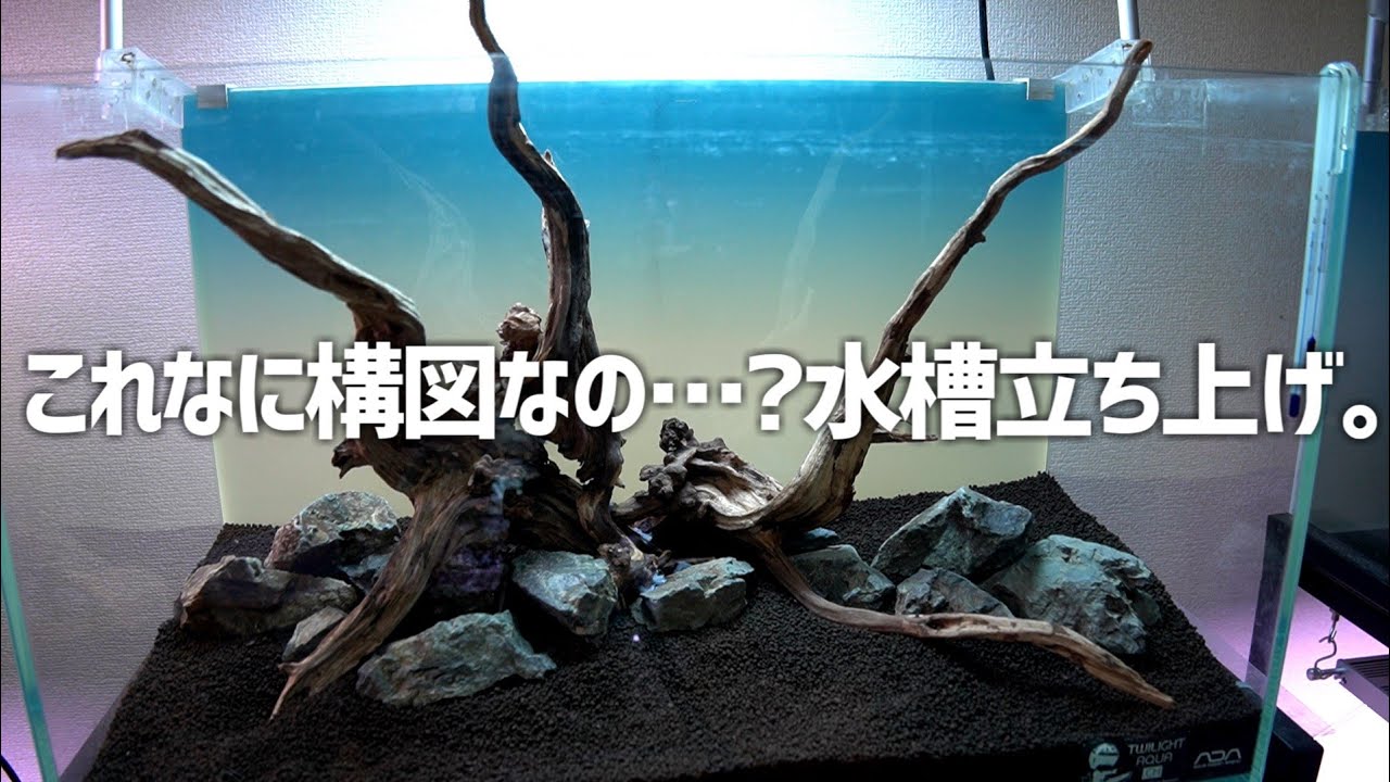 60㎝水槽立ち上げ！構図もおかしい水草もおかしい。様子が変な水槽になる… #602【アクアリウム】