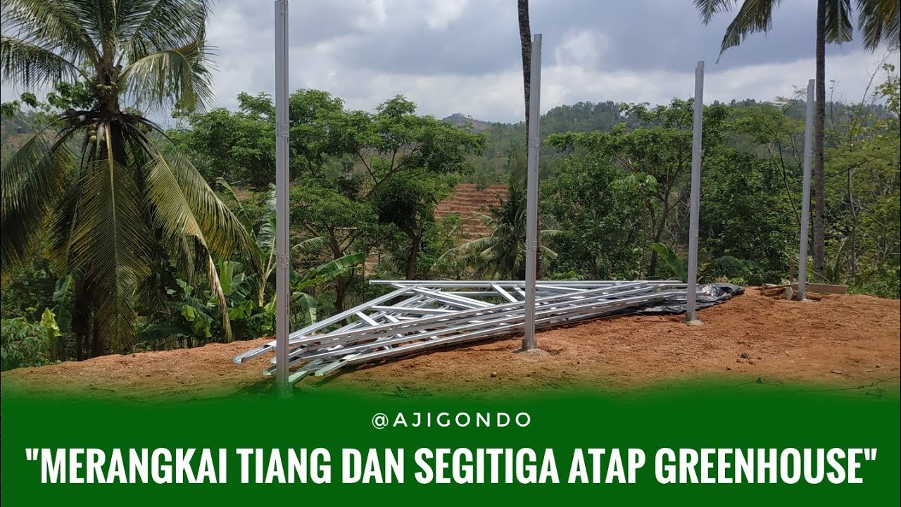 Memasang Tiang dan Segitiga Greenhouse Baja Ringan 6m x 12m (Part 2) | Baraponik Group | Hidroponik