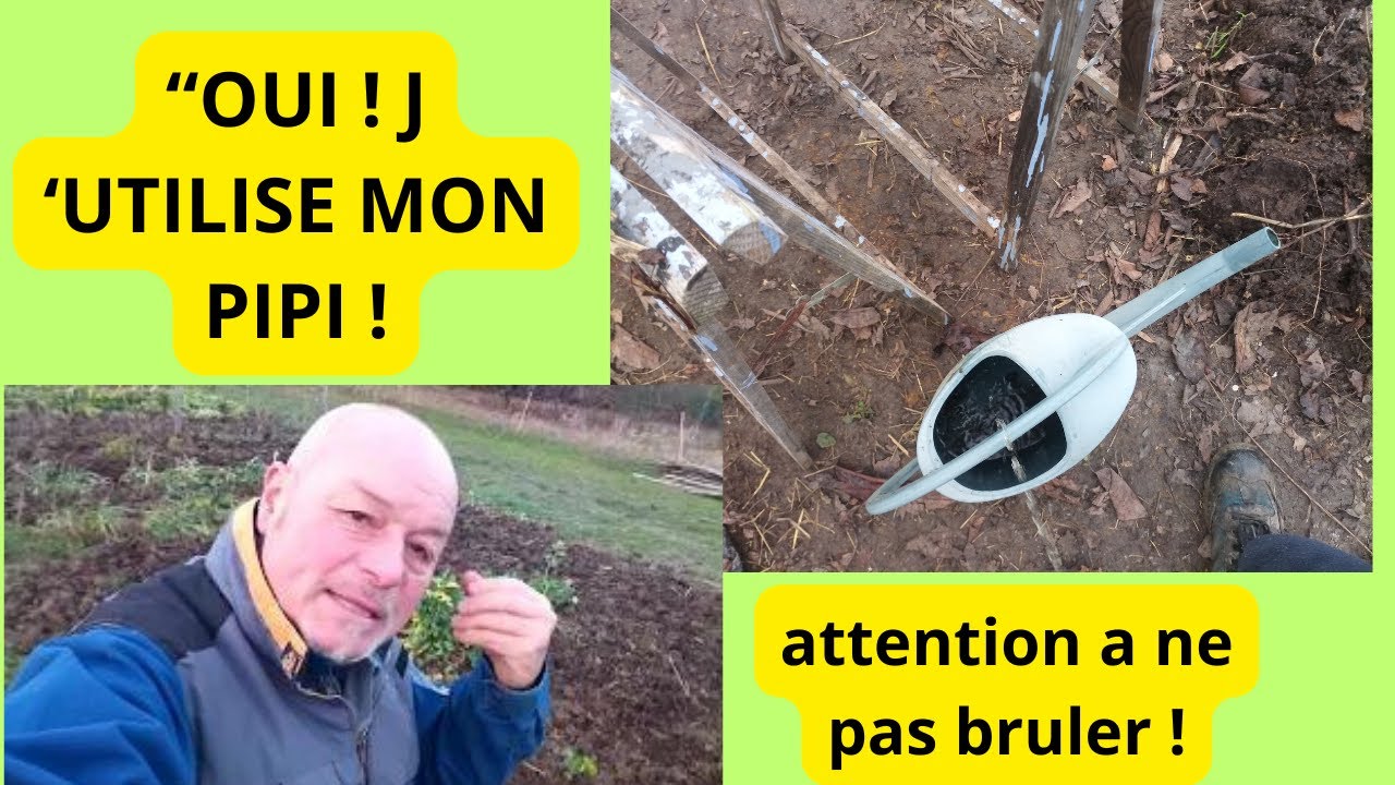 Fertilisant naturel : comment utiliser l'urine au potager et bien d'autres engrais 👍
