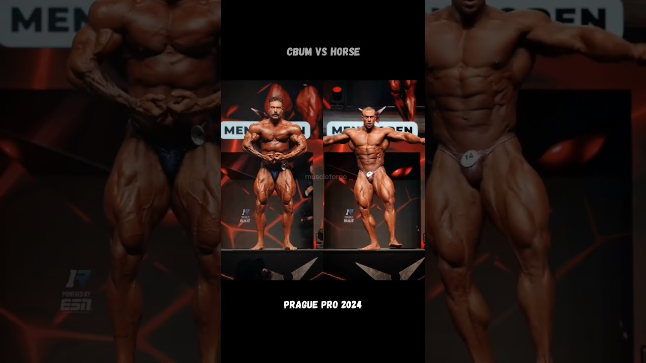 Cbum Vs Horse (Prague Pro 2024) 