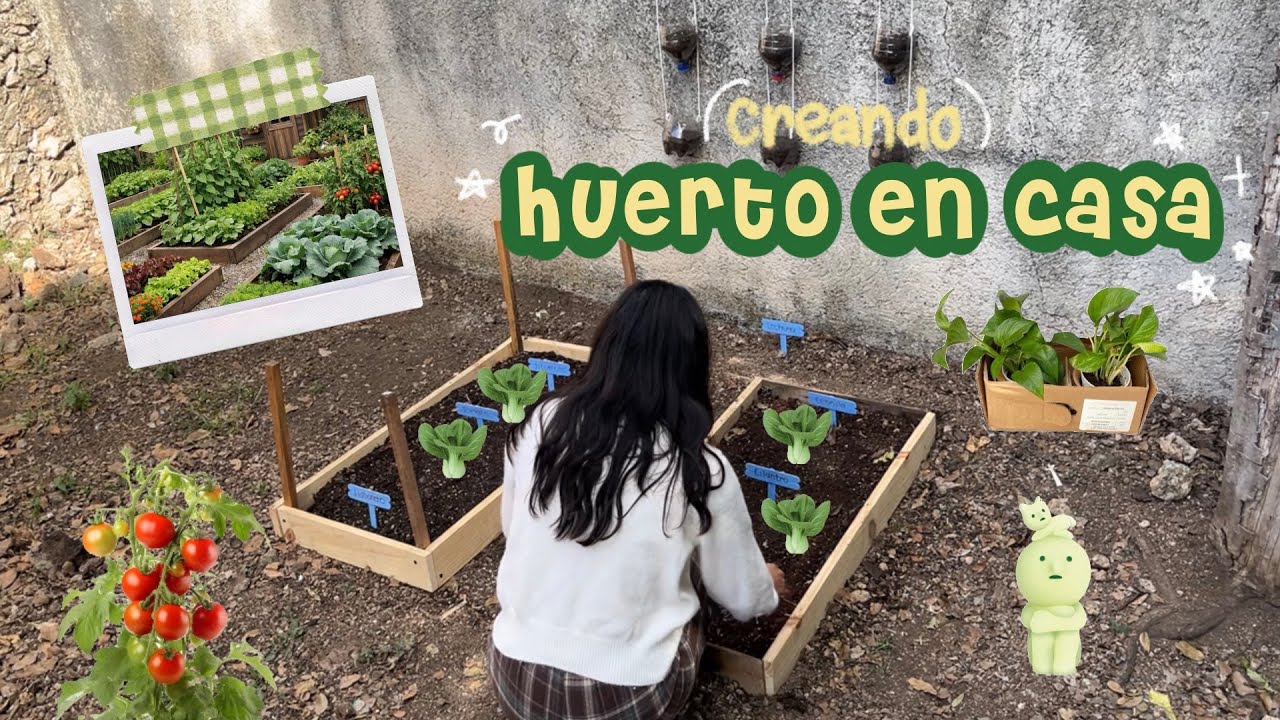 Huerto con bajo presupuesto… y sí funcionó 🥬/ living alone