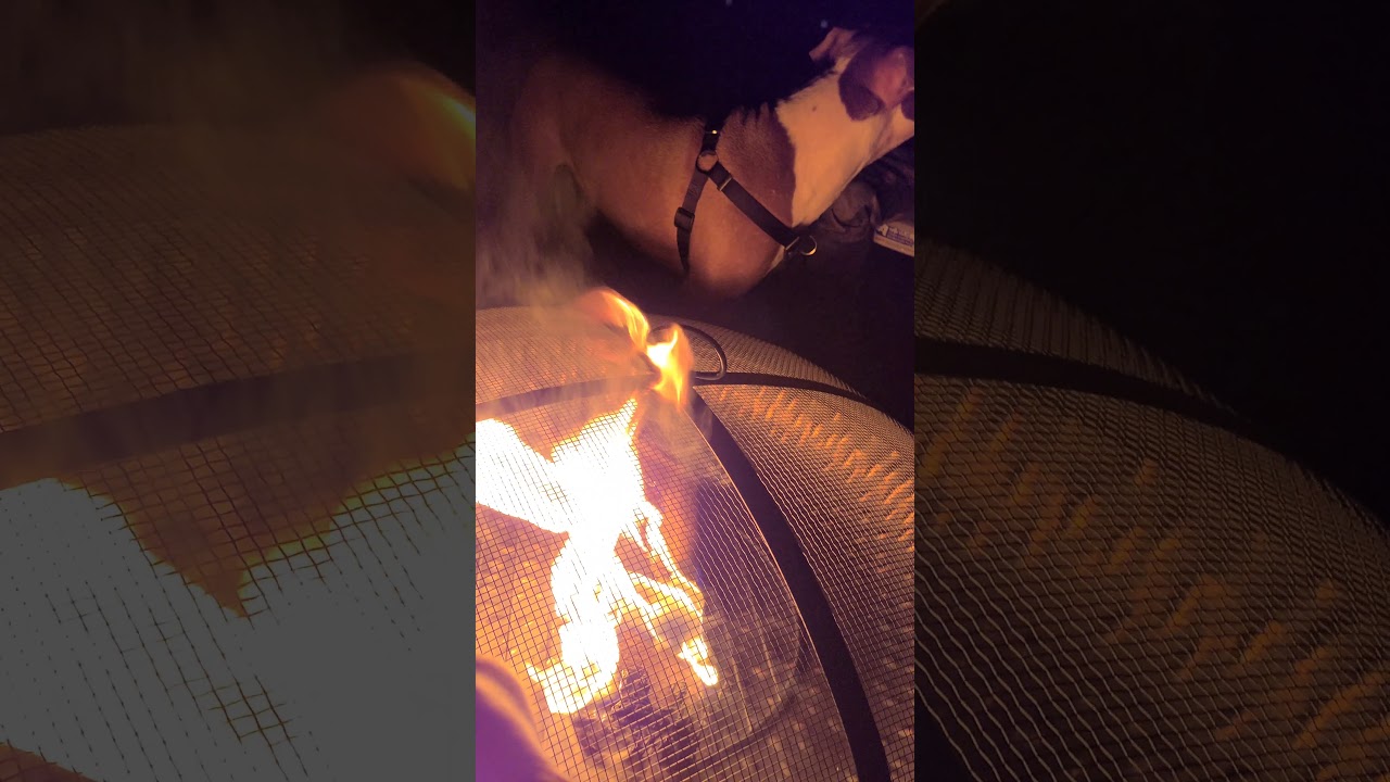 #shorts #firepitfun