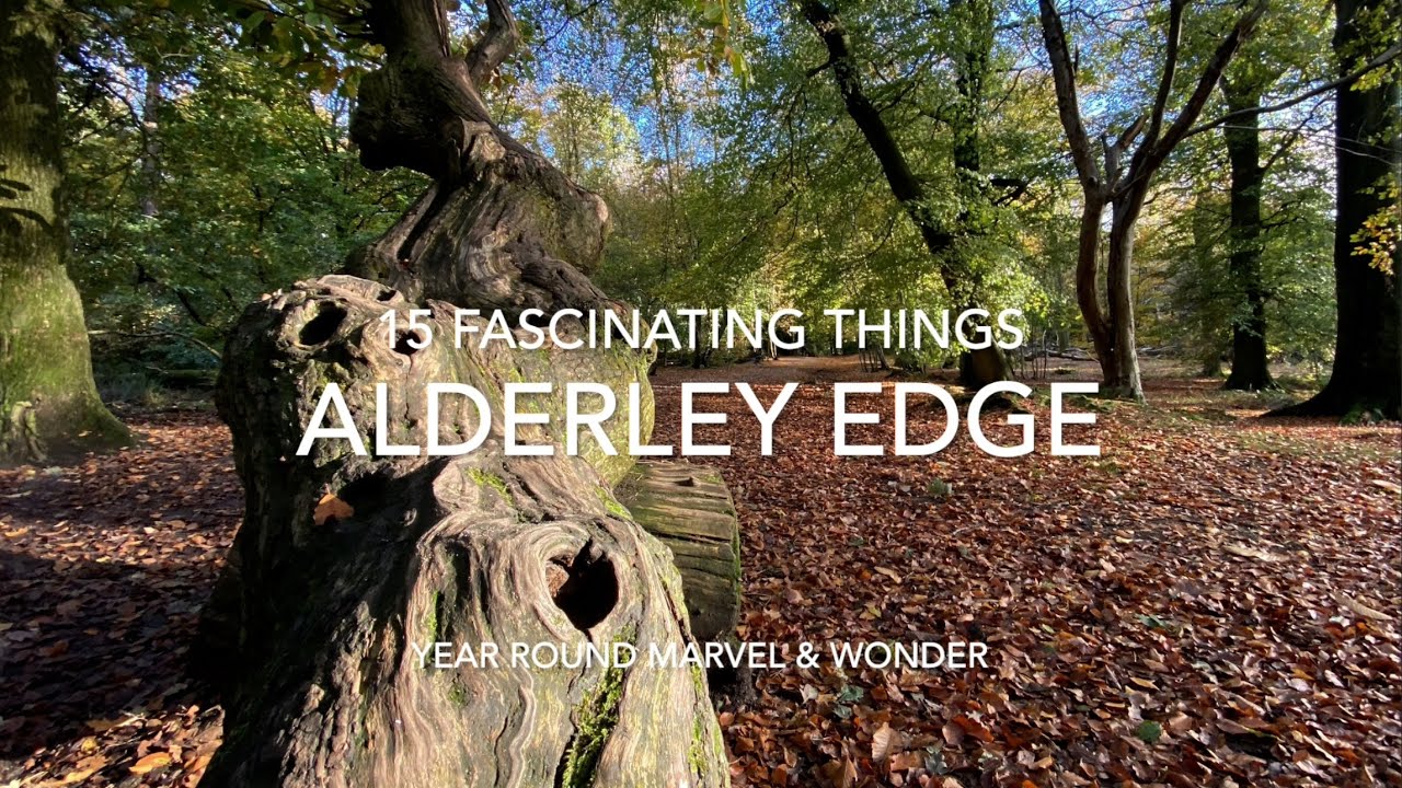 15 Fascinating Things around Alderley Edge