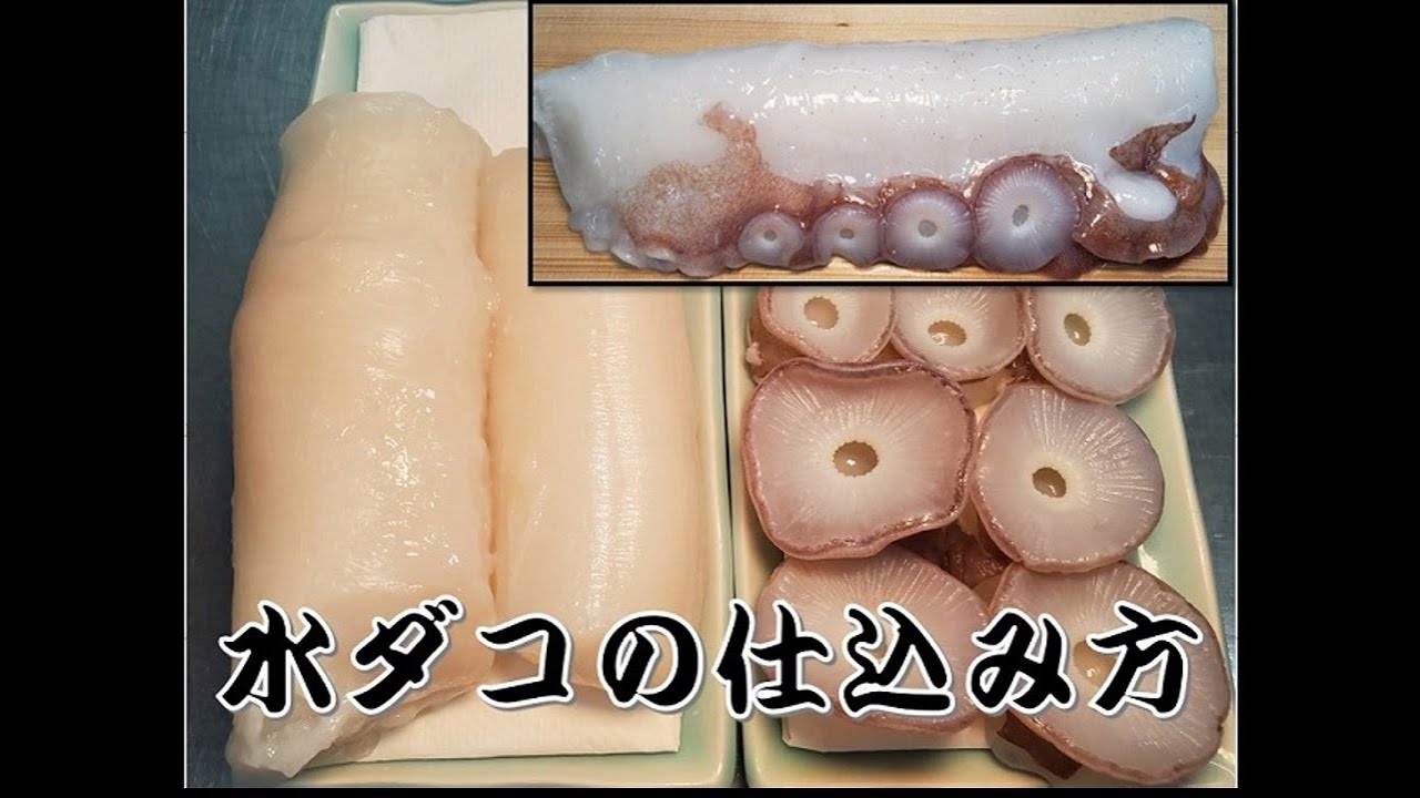 【生タコ】水タコの仕込み方と吸盤の下処理【寿司屋の仕込み方】How to fillet Raw octopus　創業100年よろい寿司