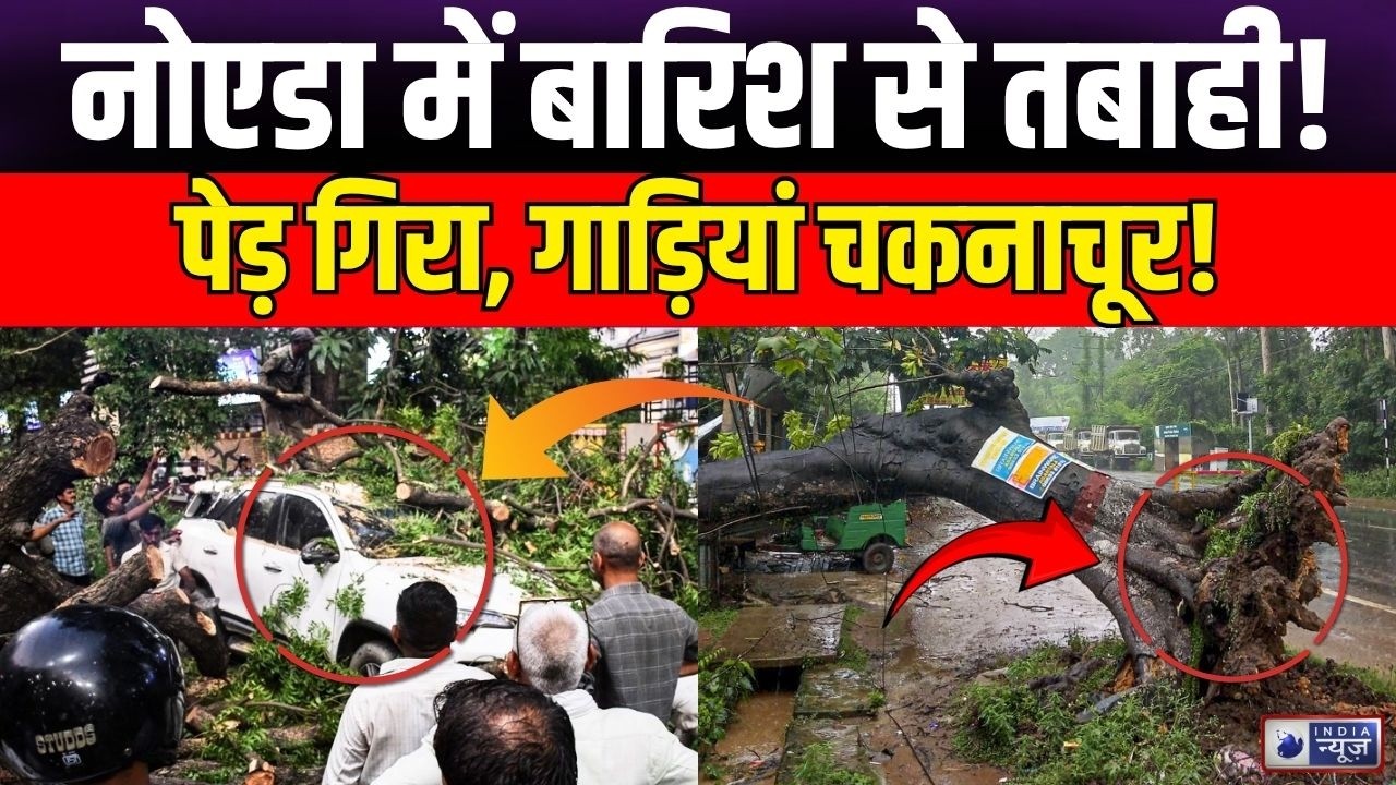 Up News: Noida में भारी बारिश का कहर, पेड़ गिरने से 3-4 वाहन क्षतिग्रस्त! | Noida Heavy Rain |Latest