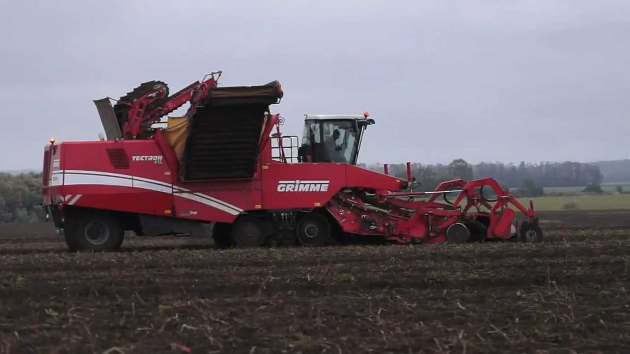 Potato Harvest in Western Ukraine
