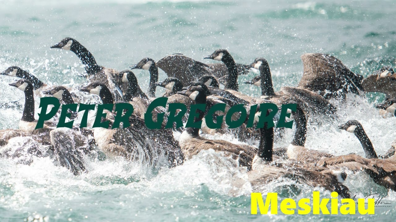 Peter Gregoire 