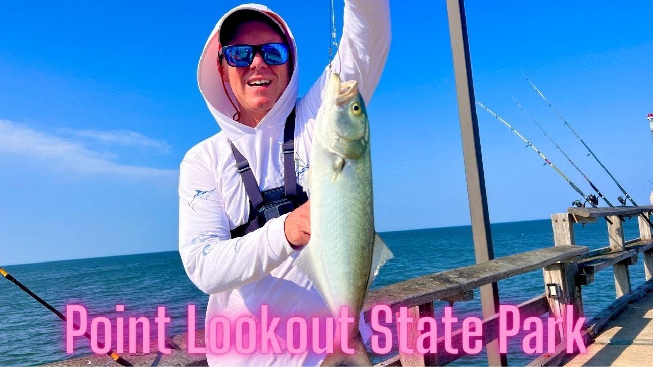 Fishing Point Lookout State Park, MD 2023 | Bluefish, Spot ,seabass, Blue Crab