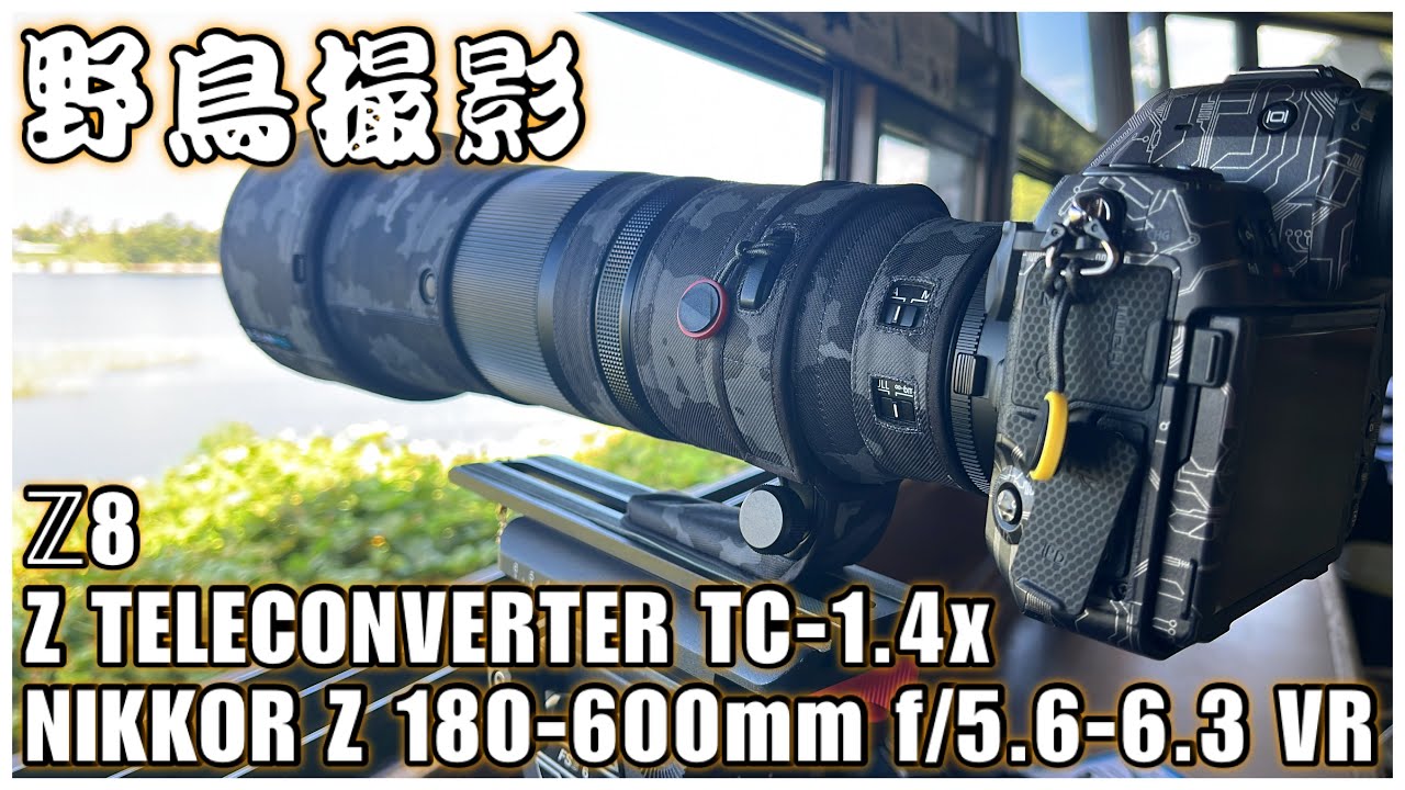 【野鳥撮影】180-600 × 1.4テレコンで鳥撮り！- Z8 × NIKKOR Z 180-600mm f/5.6-6.3 VR × TC-1.4x -