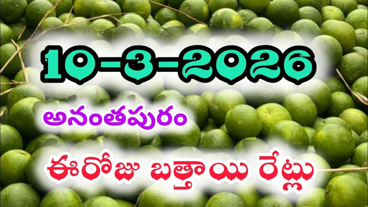 March10ఈరోజు బత్తాయి రేట్లు|today orange rate in Anantapur, banglore || today mosambi rate in Delhi