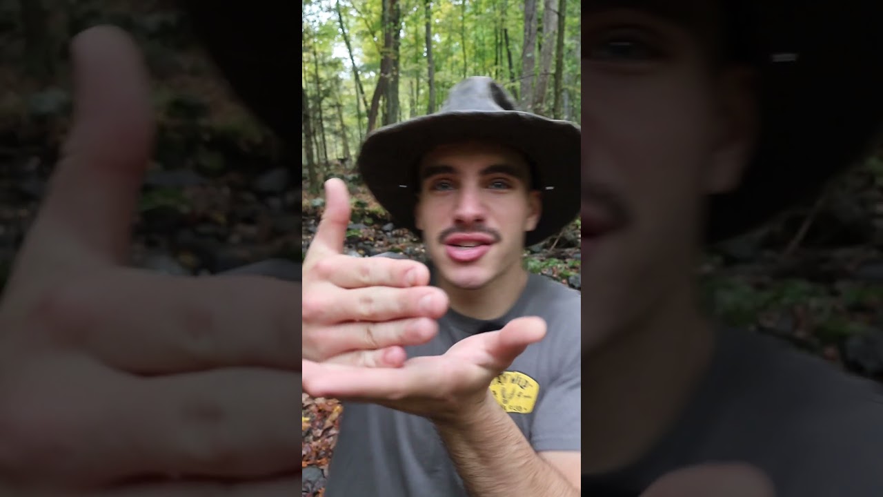 Using Your Hands to Make a Bird Call!
