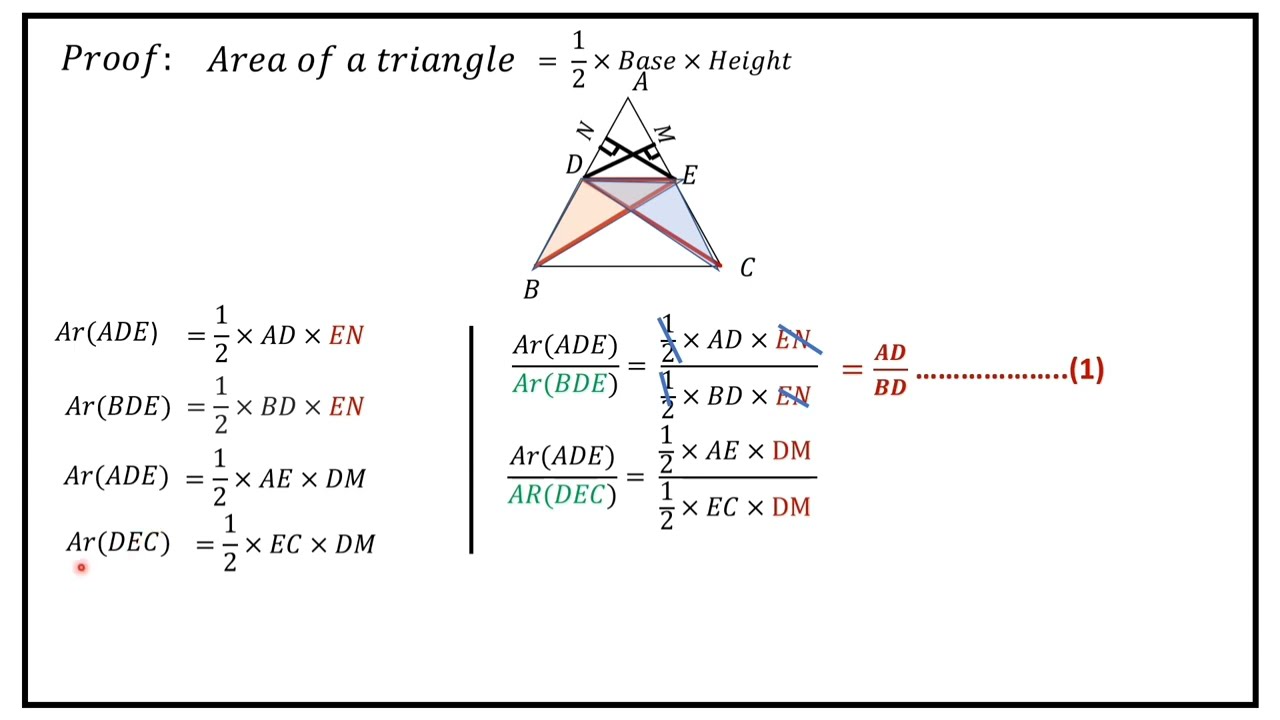 State and prove basic proportionality theorem(Thales theorem)#sslcexam2023