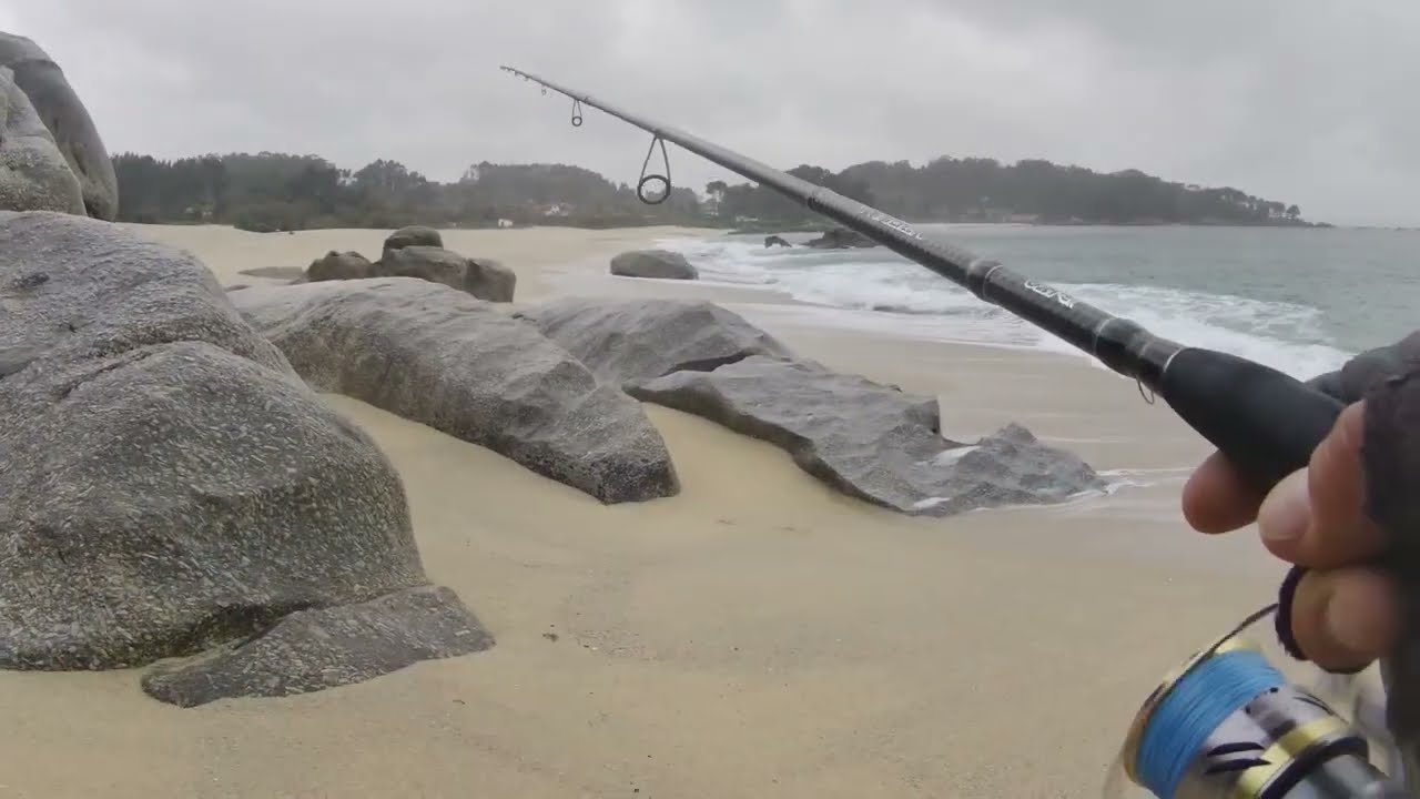 Pesca de lubina desde playa...impresionante salto en la orilla.
