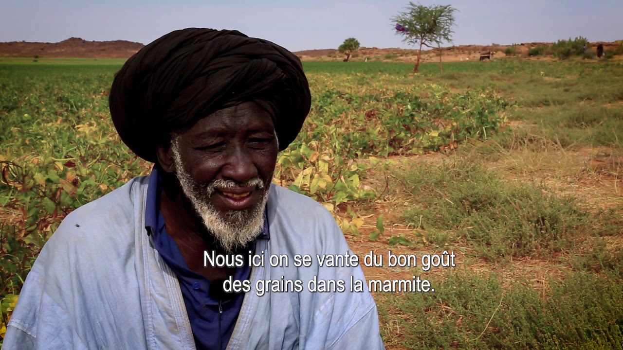 Changer pour le niébé