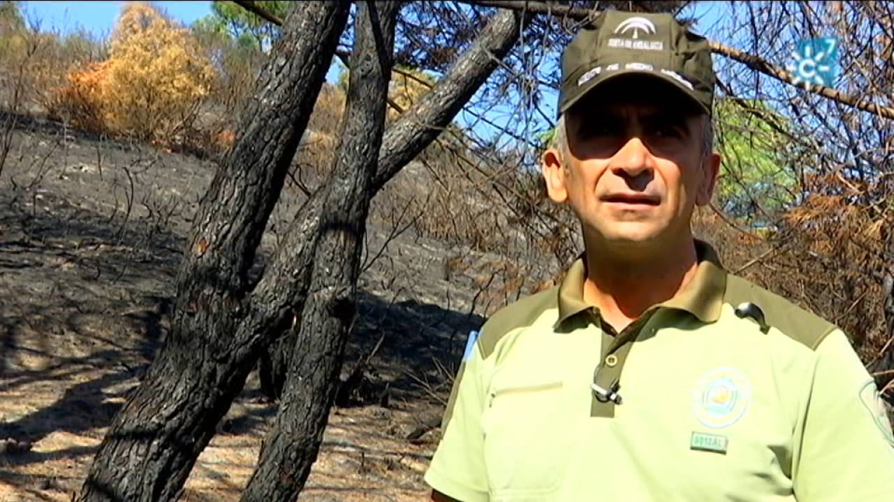 Brigada de Investigación de Incendios Forestales (INFOCA)