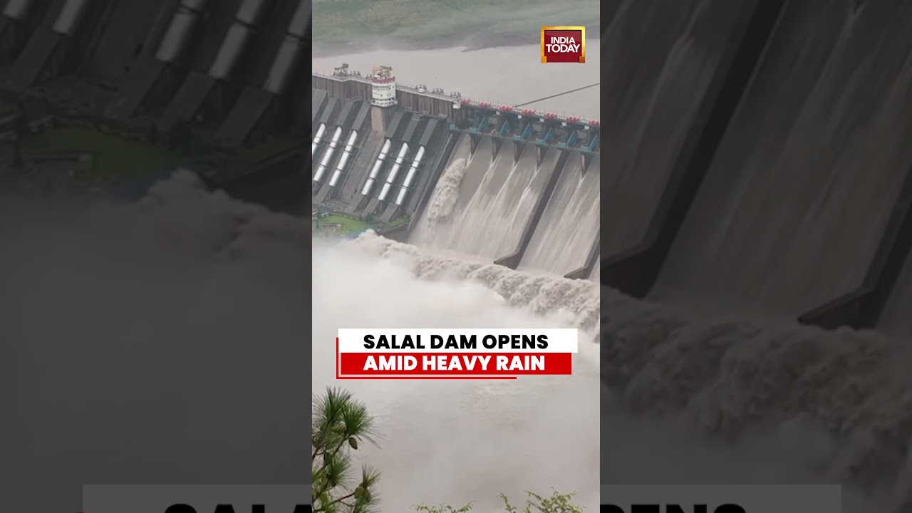 Salal Dam Gates Opened Amid Heavy Rain, Rising Chenab Inflow in J&K #jammukashmir