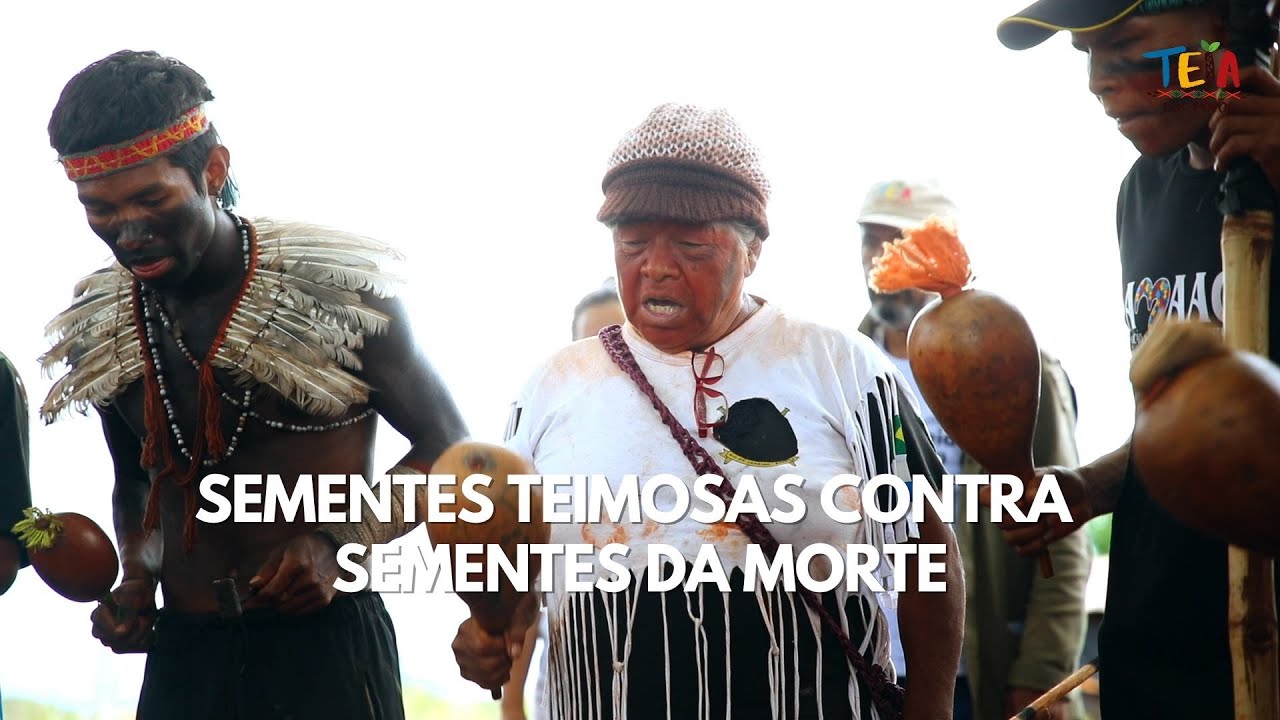 Sementes Teimosas contra Sementes da Morte