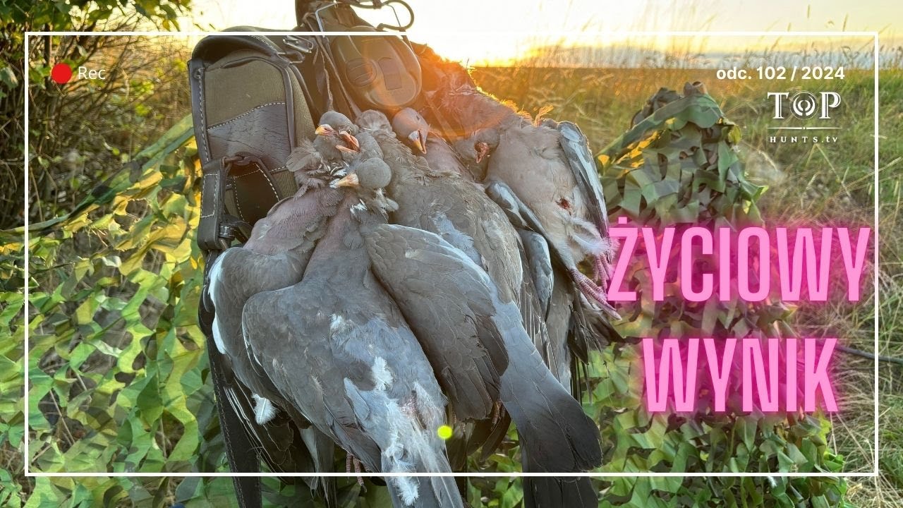 Mój rekord w polowaniu na grzywacze. Przepiękne akcje!