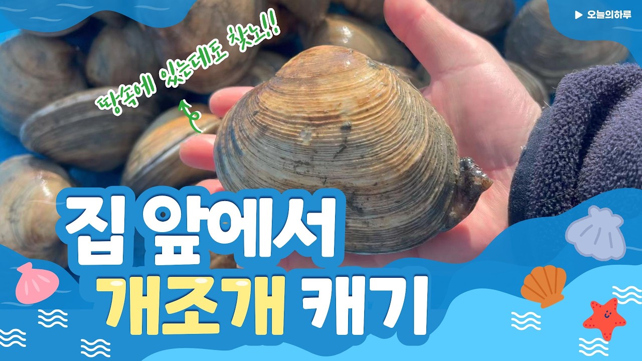 개조개 잘 캐는 요령, 5분만 걸어나가면 개조개 천국 내가 다 캔다 /Korea coutryside life/Ep125