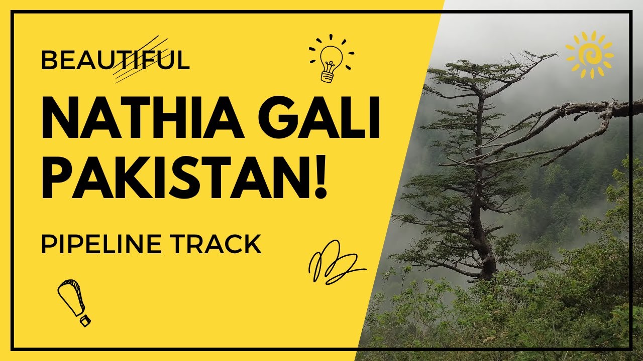 A trip to Nathia Gali - Dunga Gali Pipeline Track in Pakistan - Ayubia National Park!