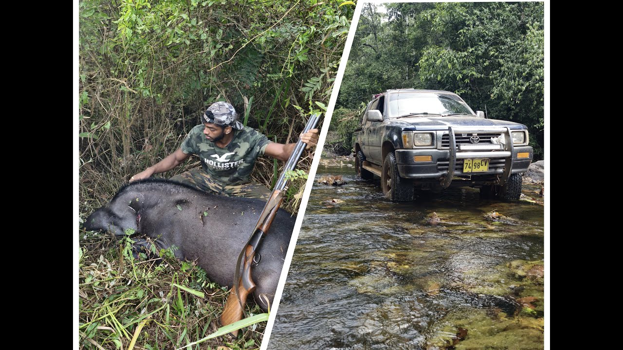Amazon Jungle Adventure: Exploring, Hunting, Cooking & Thrilling Road Trip!
