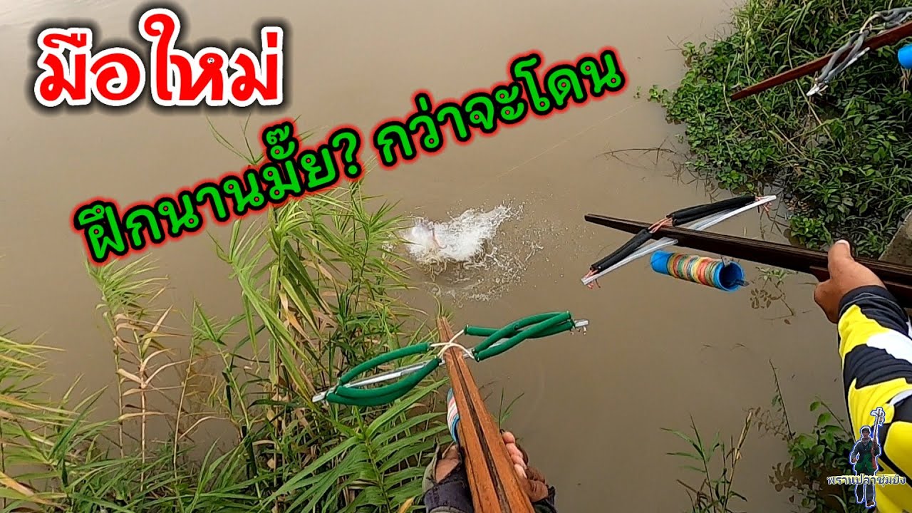 ยิงปลาผุดอย่าประมาทมือใหม่
