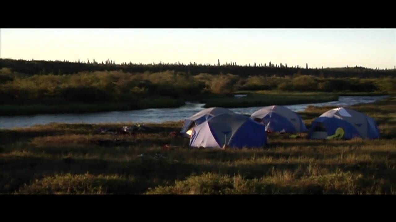 King Salmon Alaska Fly Fishing: Rainbow Trout & Salmon