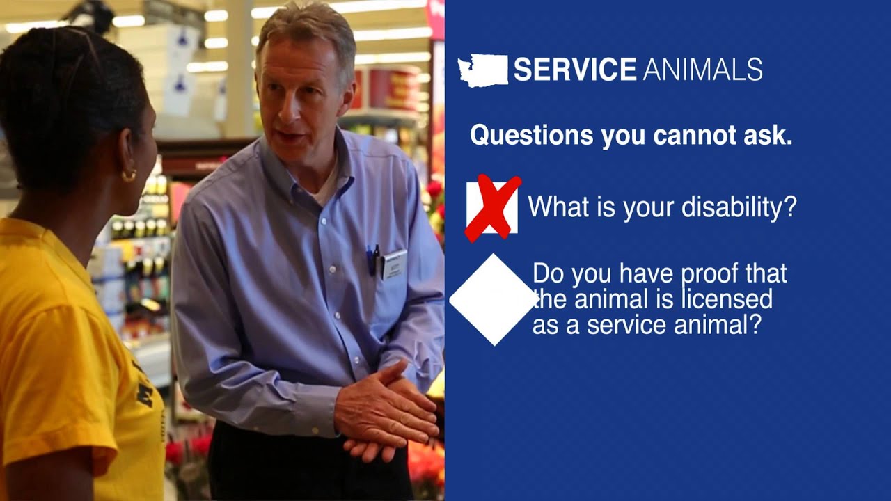 Service Animal Guide for Business Owners