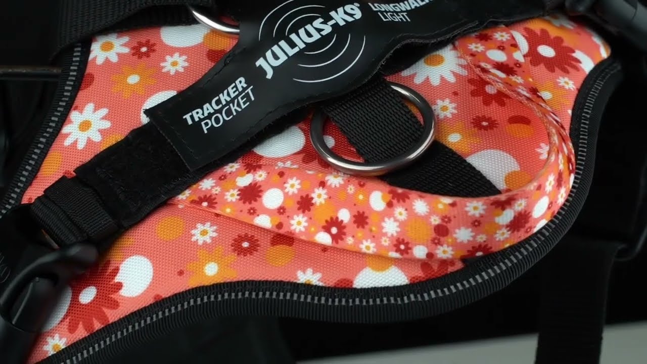 Julius-K9 Presents the JK9 Longwalk Light Harness with handle