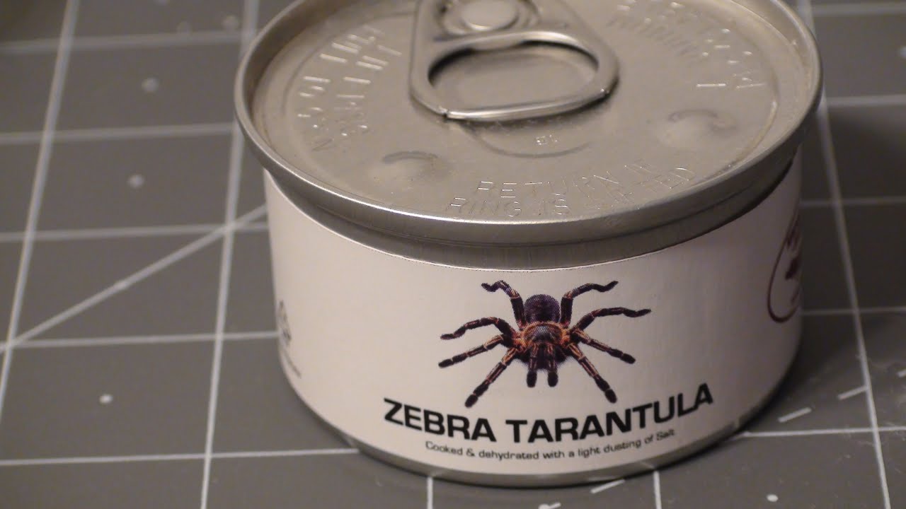 Zebra Tarantula in a Can Unboxing Review Bugs for Lunch